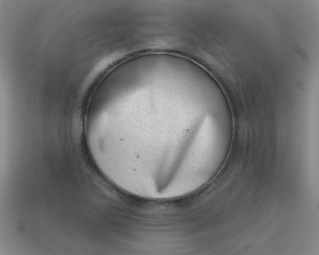 X0000113001270200909101748