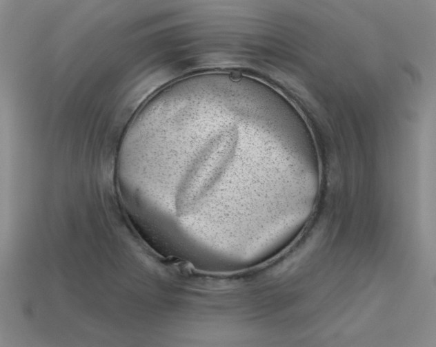 X0000113001273200909101748