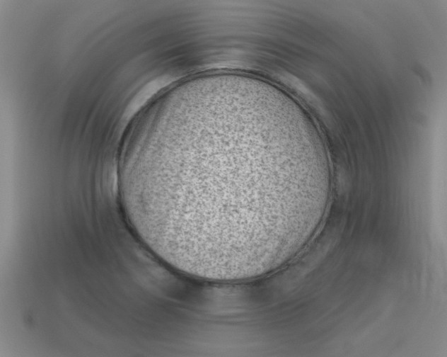 X0000113001274200909101748