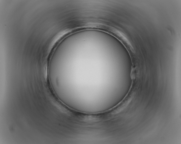 X0000113001275200909101748