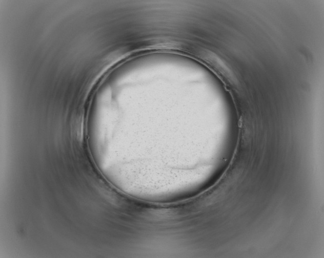 X0000113001276200909101748