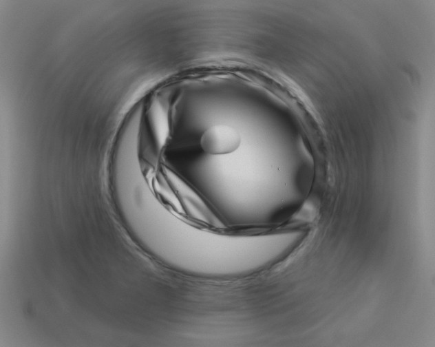 X0000113001277200909101748