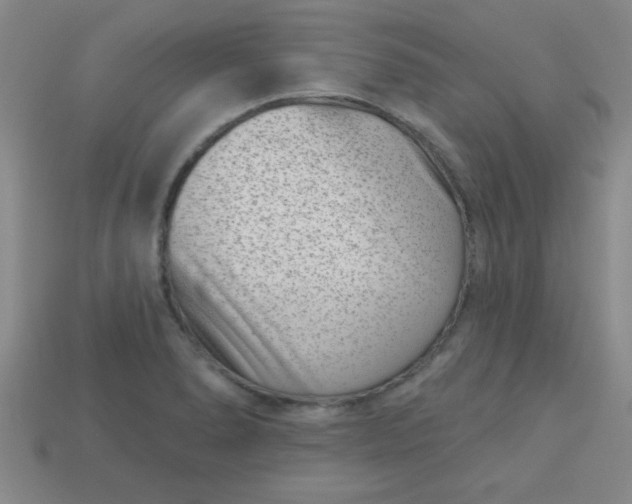 X0000113001278200909101748