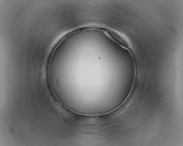 X0000113001279200909101748