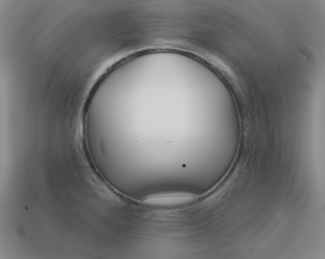 X0000113001280200909101748