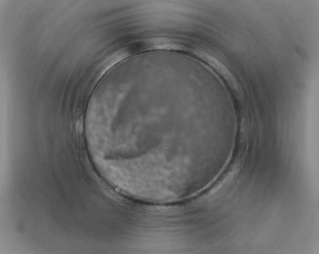 X0000113001281200909101748