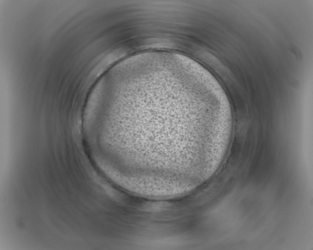 X0000113001282200909101748