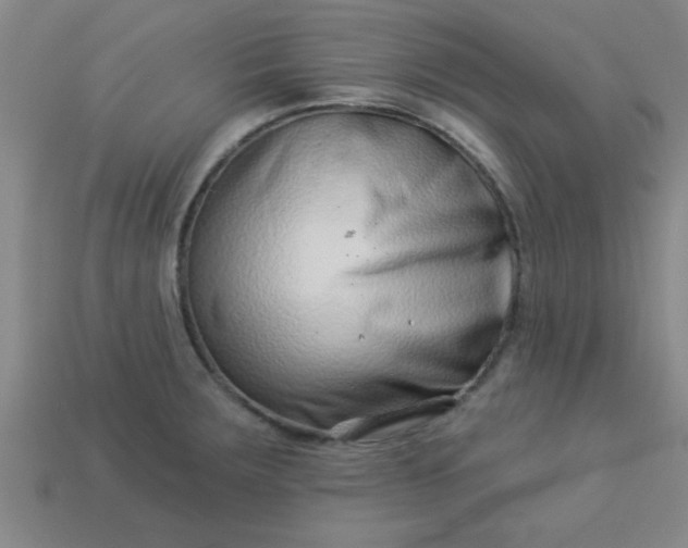 X0000113001283200909101748