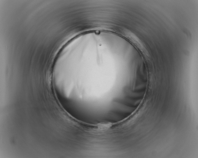 X0000113001284200909101748