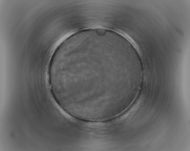 X0000113001285200909101748