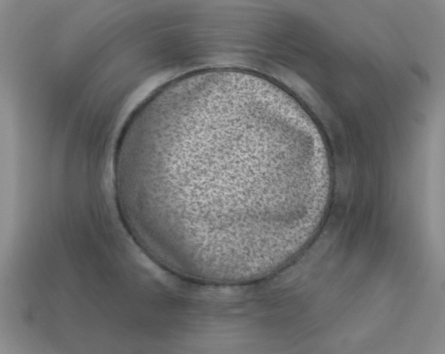 X0000113001286200909101748