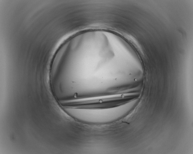 X0000113001288200909101748