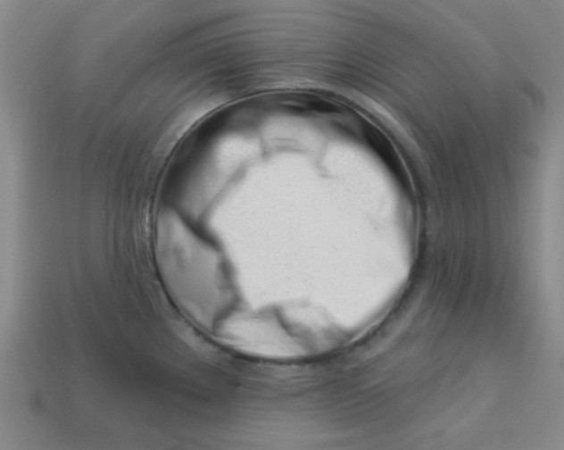 X0000113001289200909101748