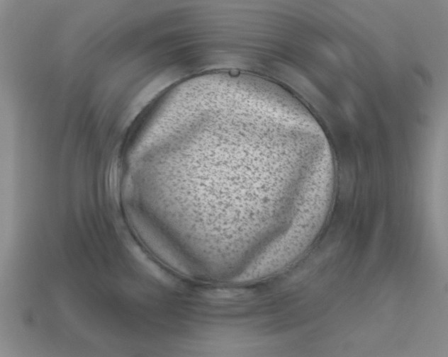 X0000113001290200909101748