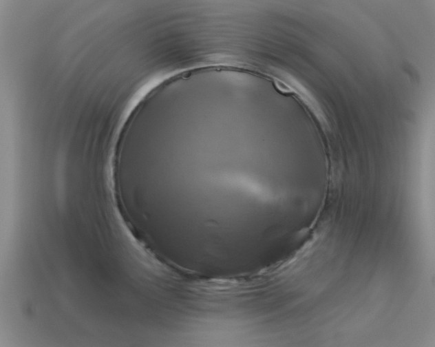 X0000113001291200909101748