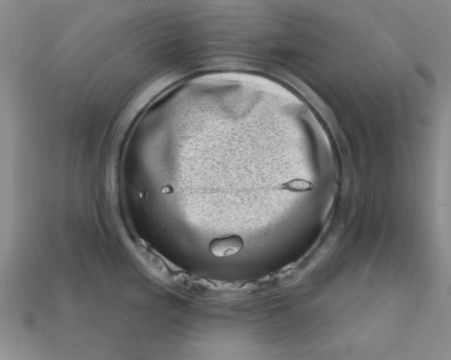 X0000113001293200909101748