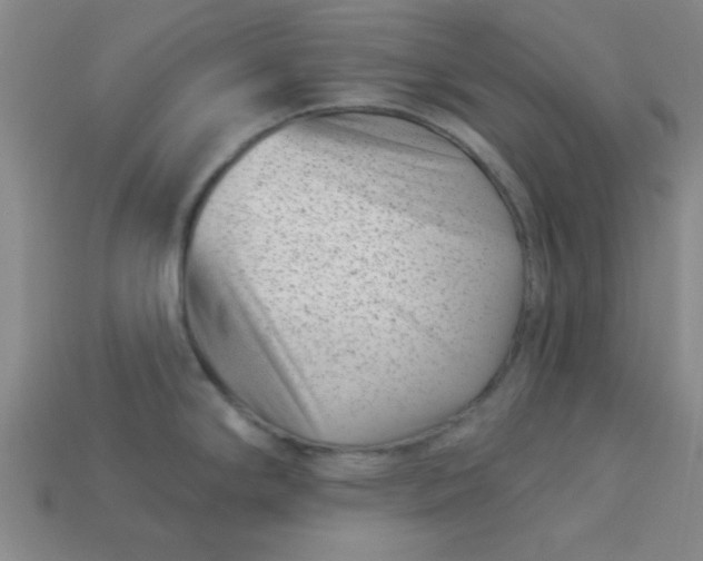 X0000113001294200909101748