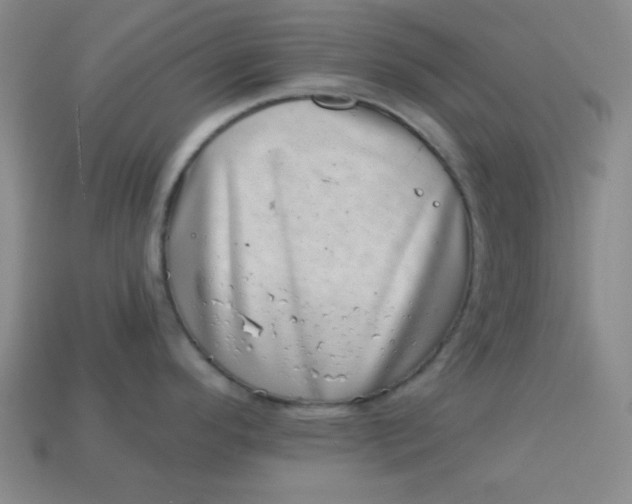 X0000113001296200909101748