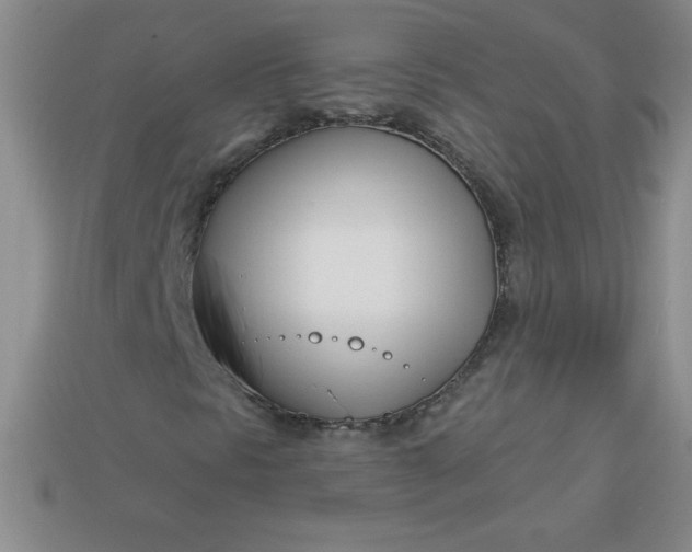 X0000113001297200909101747