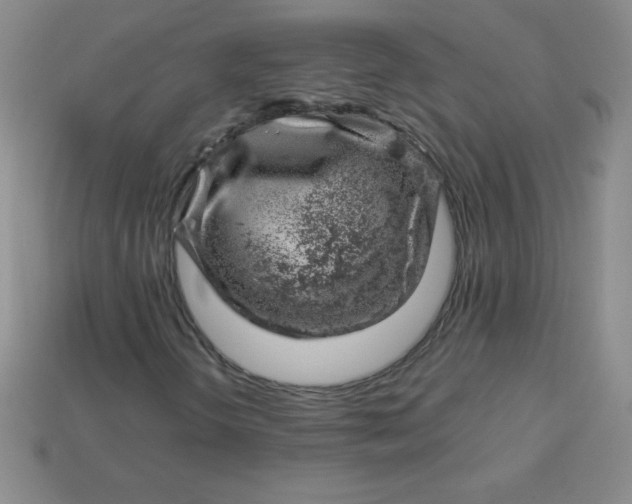 X0000113001298200909101747