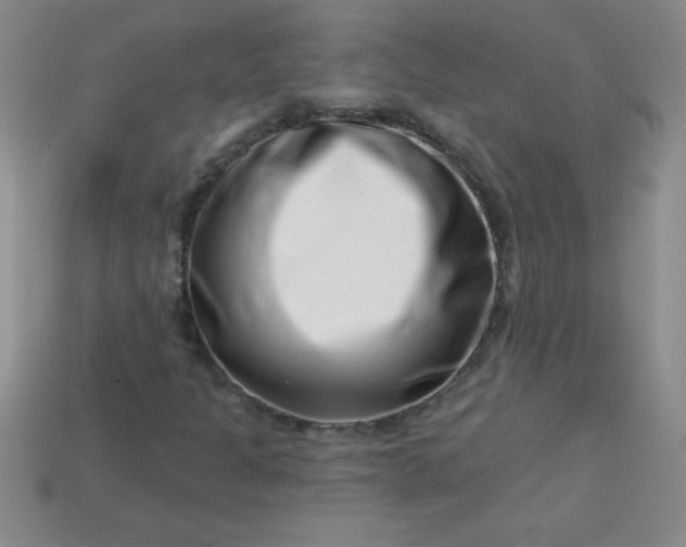 X0000113001301200909101747