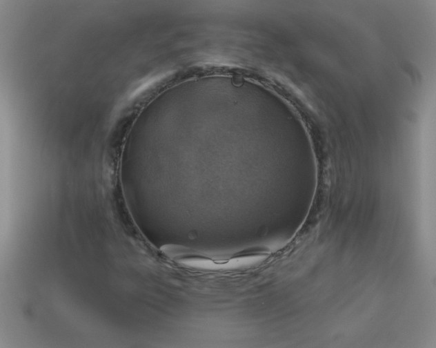 X0000113001303200909101747