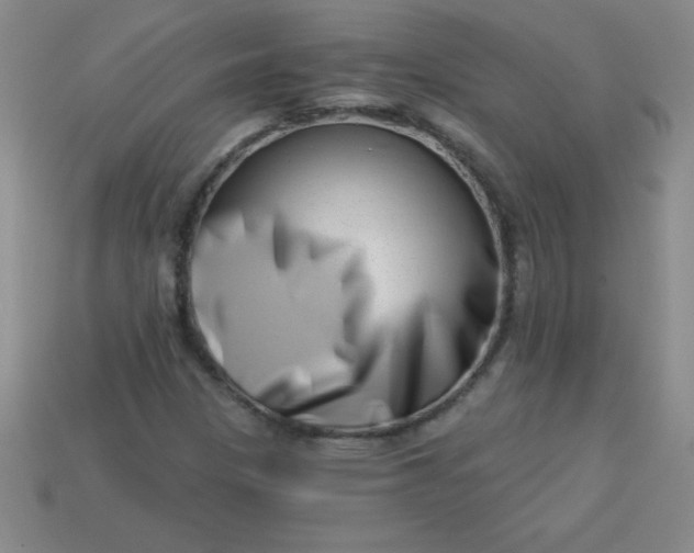 X0000113001305200909101747