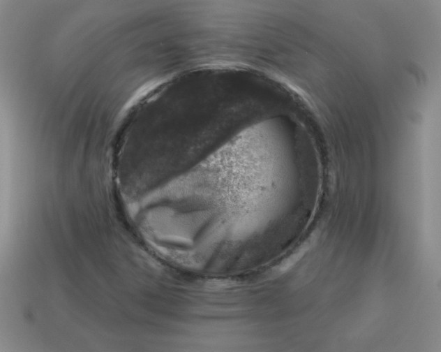 X0000113001306200909101747