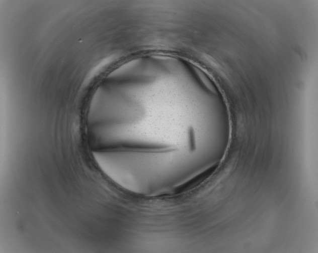 X0000113001307200909101747