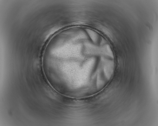 X0000113001308200909101747