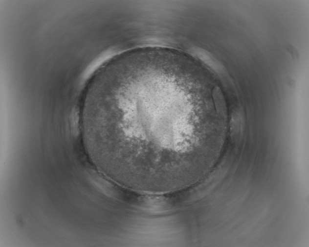 X0000113001310200909101747