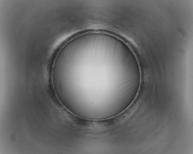 X0000113001311200909101747