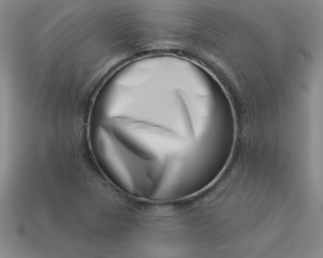 X0000113001313200909101747