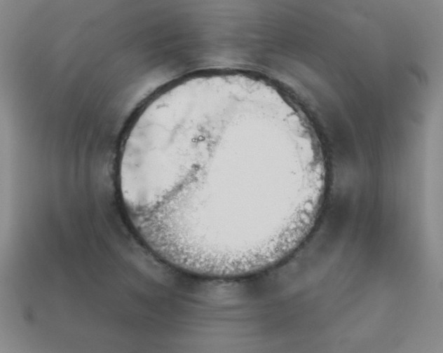 X0000113001314200909101748