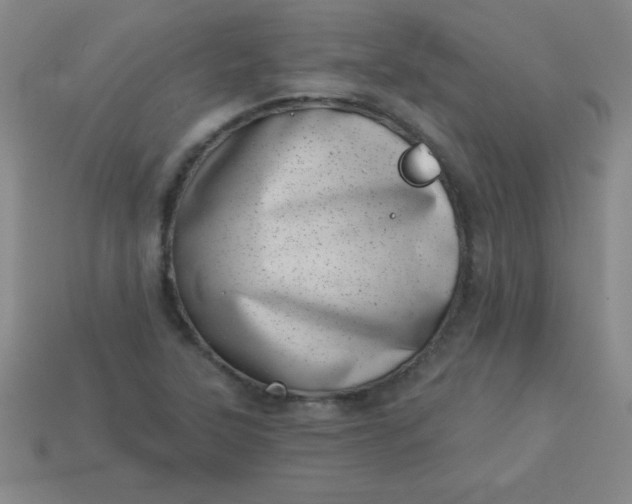 X0000113001315200909101748