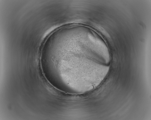 X0000113001316200909101748