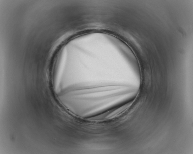 X0000113001318200909101748