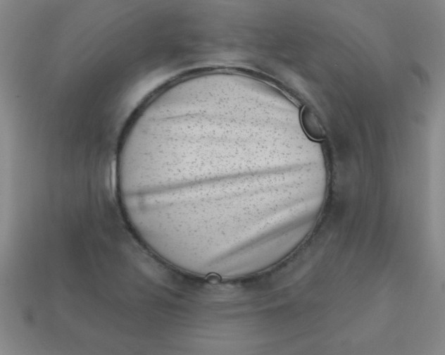 X0000113001320200909101748