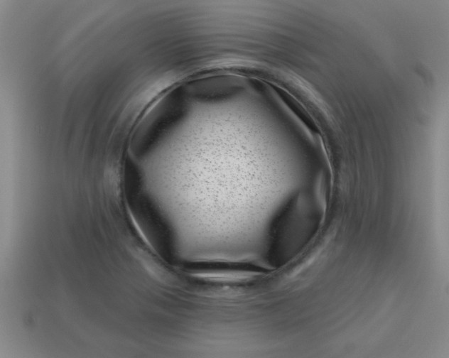 X0000113001321200909101748