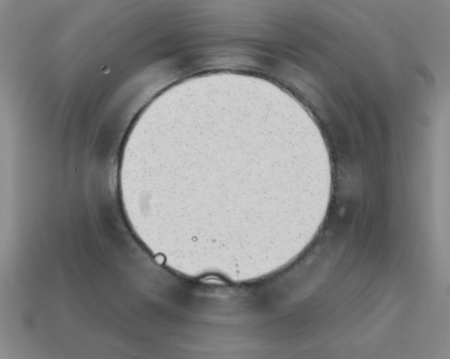 X0000113001322200909101748