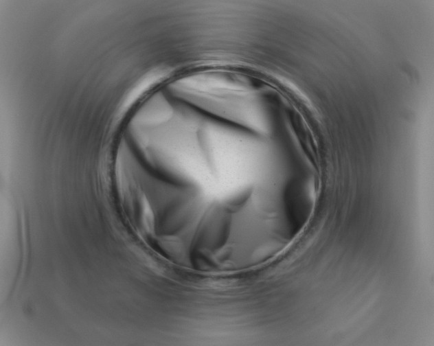 X0000113001325200909101748