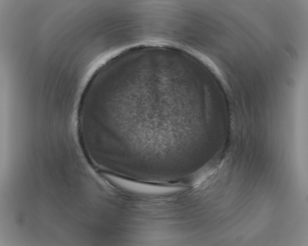 X0000113001327200909101748