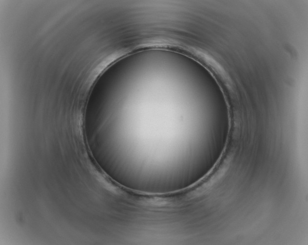 X0000113001329200909101748