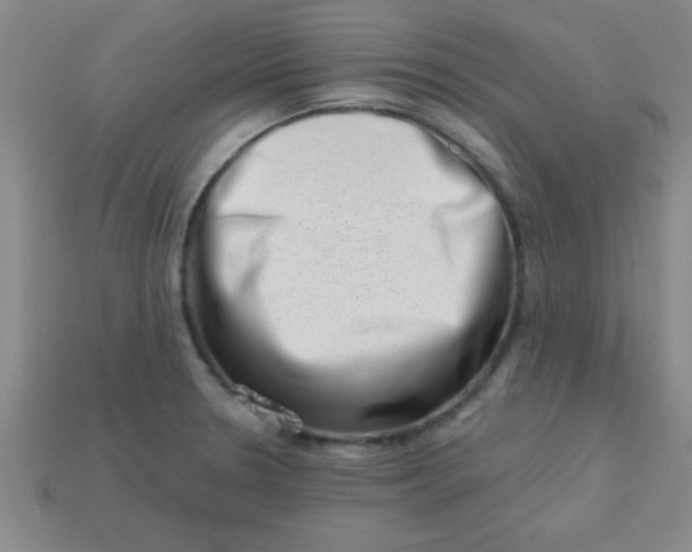 X0000113001330200909101748