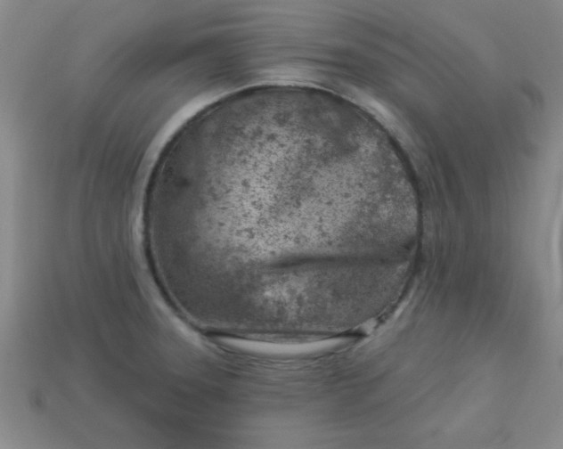 X0000113001331200909101748