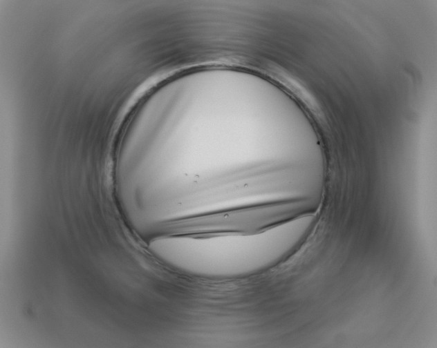 X0000113001332200909101748