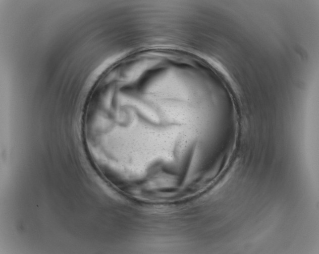 X0000113001333200909101748