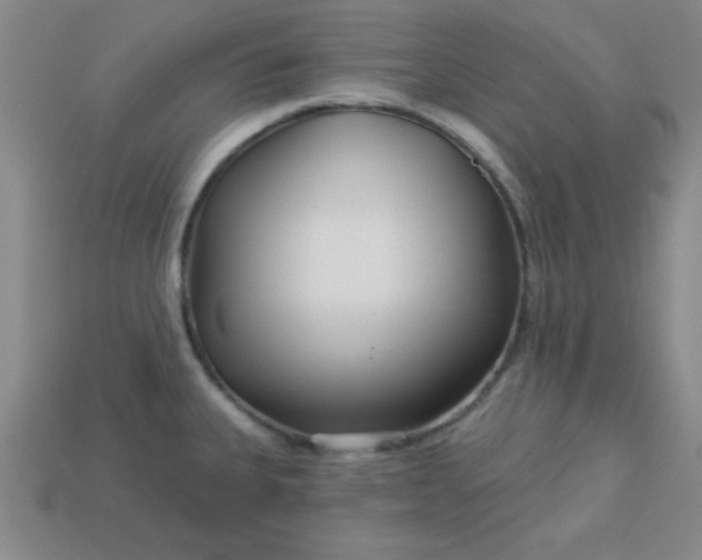 X0000113001335200909101748