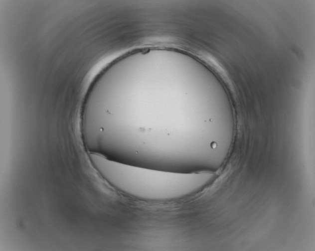 X0000113001336200909101748