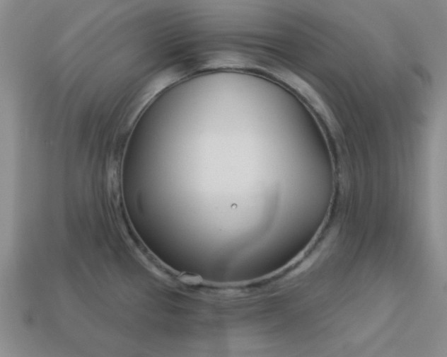 X0000113001337200909101748